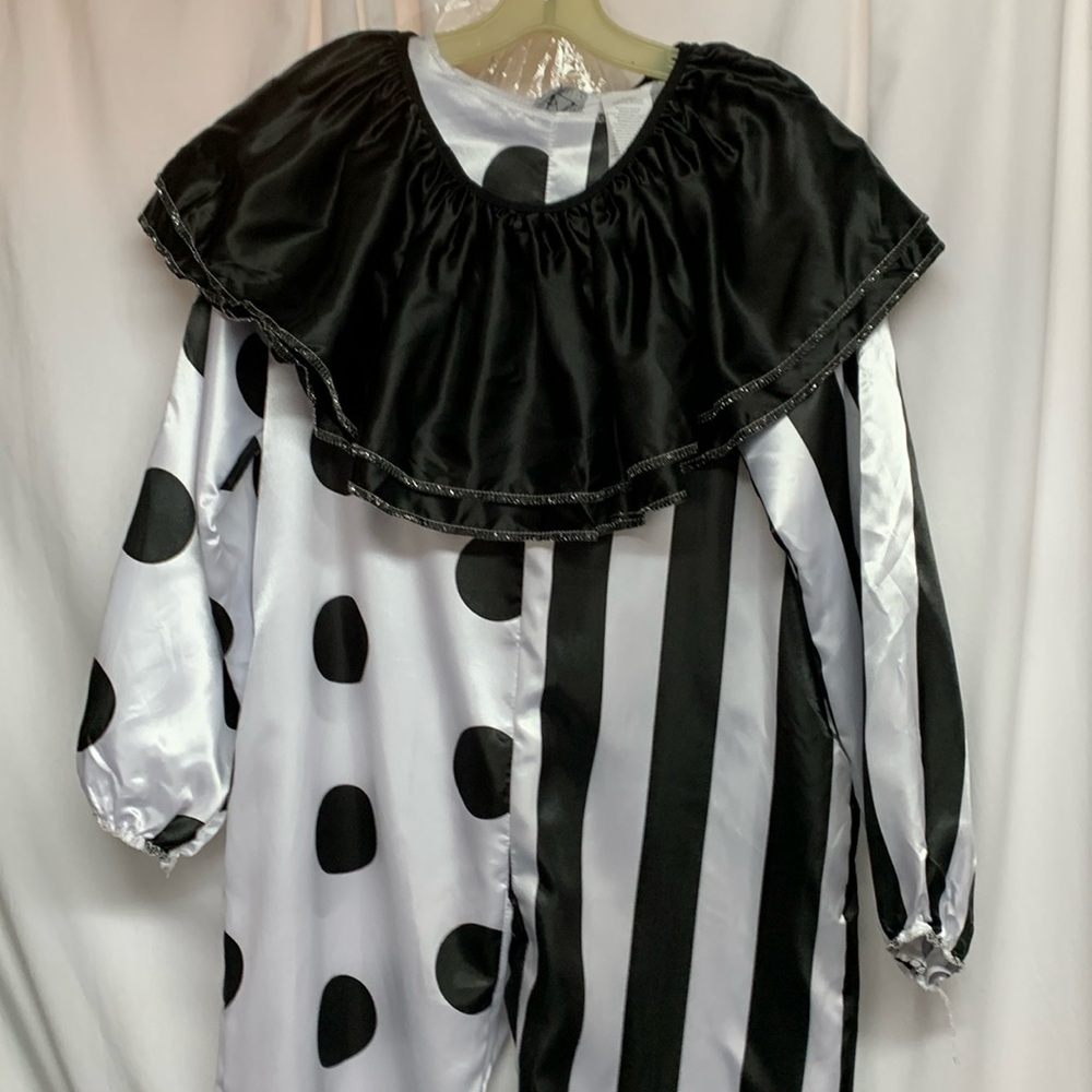 Clowns Costume. AR